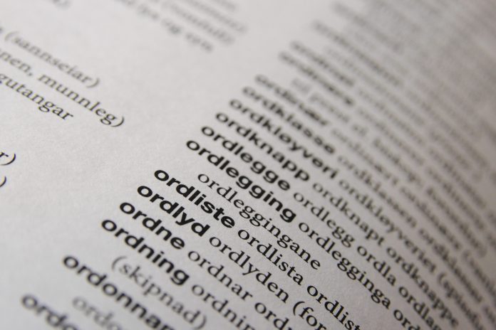 Vinje kommune sende ut ei sp&oslash;rjeunders&oslash;king p&aring; bokm&aring;l. Det har f&aring;tt fleire til &aring; reagere. Foto: Hallvard &Oslash;strem / NPK