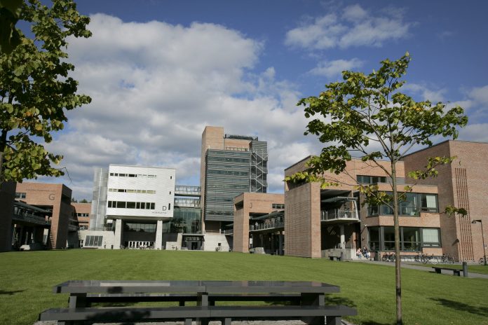 Universitet i Agder i Kristiansand auka nynorskinnslaget på nettsidene sine frå 4,3 til 5,1 prosent i fjor. Foto: Tor Erik Schrøder / NTB scanpix / NPK